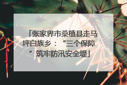 张家界市桑植县走马坪白族乡：“三个保障”筑牢防汛安全堤