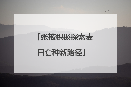 张掖积极探索麦田套种新路径
