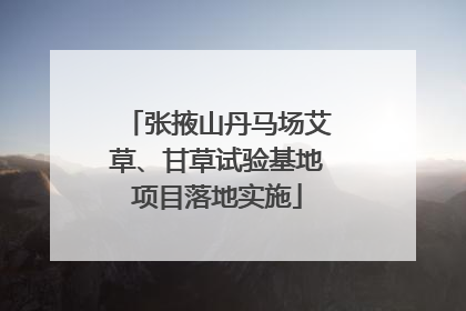 张掖山丹马场艾草、甘草试验基地项目落地实施