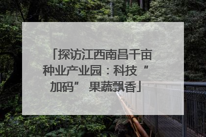 探访江西南昌千亩种业产业园：科技“加码” 果蔬飘香