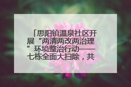 思阳镇温泉社区开展“两清两改两治理”环境整治行动——七栋全面大扫除，共建洁净家园