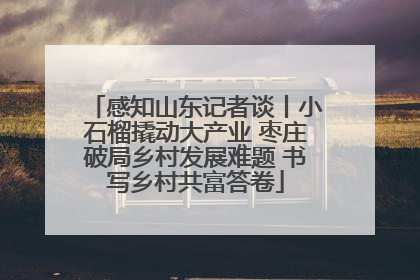 感知山东记者谈丨小石榴撬动大产业 枣庄破局乡村发展难题 书写乡村共富答卷