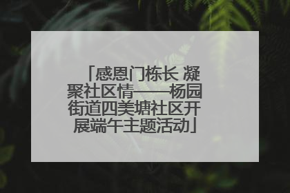 感恩门栋长 凝聚社区情——杨园街道四美塘社区开展端午主题活动