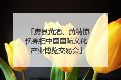 房县黄酒、黄精惊艳亮相中国国际文化产业博览交易会