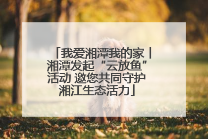 我爱湘潭我的家丨湘潭发起“云放鱼”活动 邀您共同守护湘江生态活力