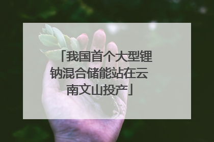 我国首个大型锂钠混合储能站在云南文山投产