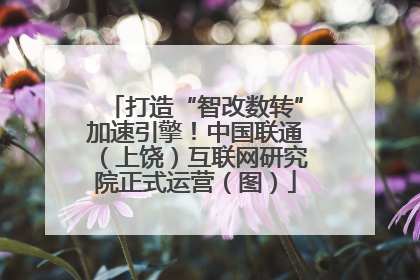 打造“智改数转”加速引擎！中国联通（上饶）互联网研究院正式运营（图）