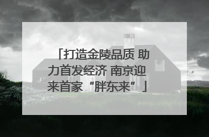 打造金陵品质 助力首发经济 南京迎来首家“胖东来”
