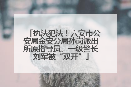 执法犯法！六安市公安局金安分局孙岗派出所原指导员、一级警长刘军被“双开”