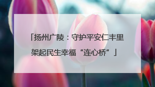 扬州广陵：守护平安仁丰里 架起民生幸福“连心桥”