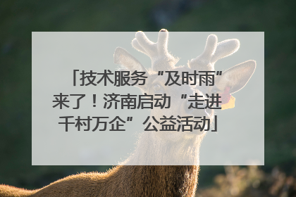 技术服务“及时雨”来了！济南启动“走进千村万企”公益活动