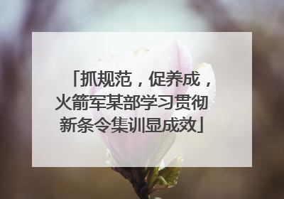 抓规范，促养成，火箭军某部学习贯彻新条令集训显成效