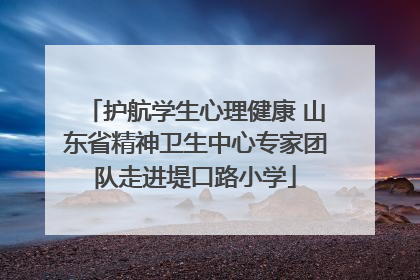 护航学生心理健康 山东省精神卫生中心专家团队走进堤口路小学