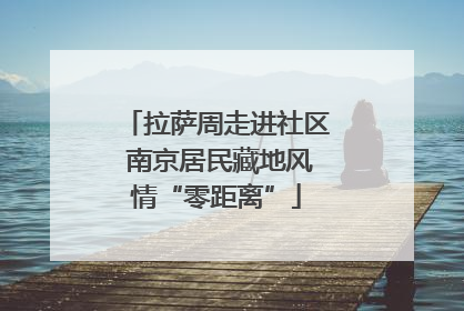 拉萨周走进社区 南京居民藏地风情“零距离”