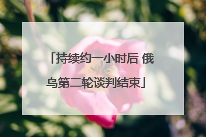 持续约一小时后 俄乌第二轮谈判结束