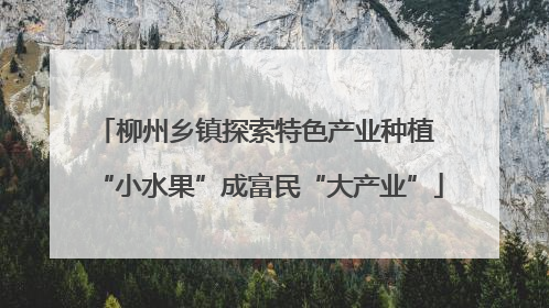 柳州乡镇探索特色产业种植 “小水果”成富民“大产业”
