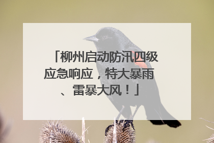 柳州启动防汛四级应急响应，特大暴雨、雷暴大风！