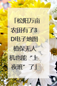 松阳万亩农田有了3D电子地图 植保无人机也能“上夜班”了