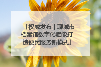 权威发布｜聊城市档案馆数字化赋能打造便民服务新模式