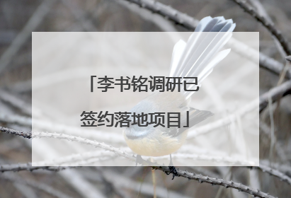 李书铭调研已签约落地项目