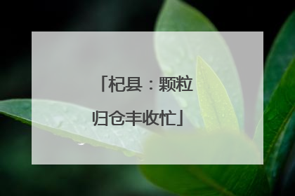 杞县：颗粒归仓丰收忙