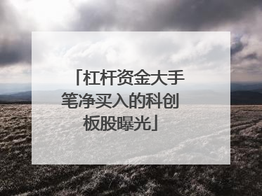 杠杆资金大手笔净买入的科创板股曝光