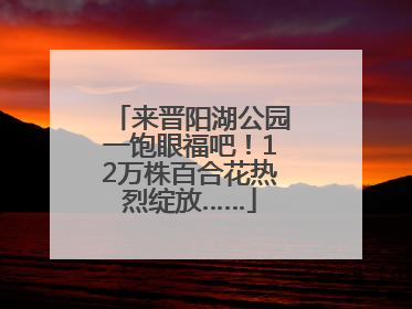 来晋阳湖公园一饱眼福吧！12万株百合花热烈绽放……