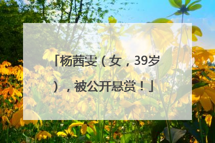 杨茜雯（女，39岁），被公开悬赏！