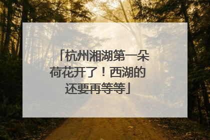 杭州湘湖第一朵荷花开了！西湖的还要再等等