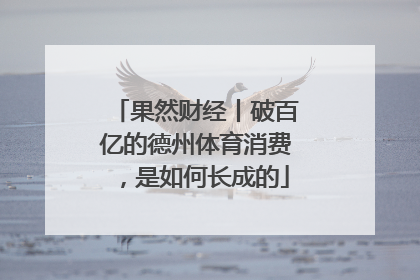 果然财经丨破百亿的德州体育消费，是如何长成的