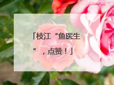 枝江“鱼医生”，点赞！