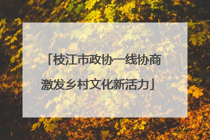 枝江市政协一线协商激发乡村文化新活力