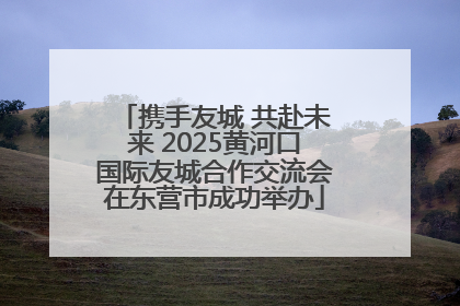 携手友城 共赴未来 2025黄河口国际友城合作交流会在东营市成功举办