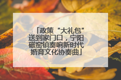 政策“大礼包”送到家门口，宁阳磁窑镇奏响新时代婚育文化协奏曲