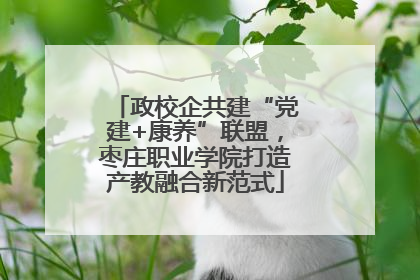 政校企共建“党建+康养”联盟，枣庄职业学院打造产教融合新范式