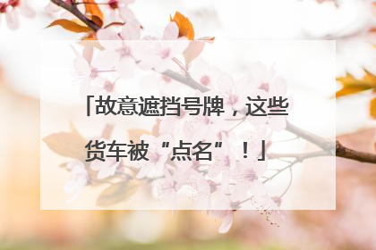 故意遮挡号牌，这些货车被“点名”！