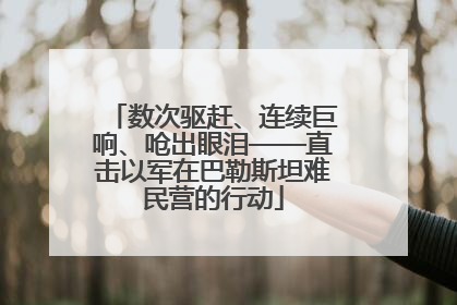 数次驱赶、连续巨响、呛出眼泪——直击以军在巴勒斯坦难民营的行动