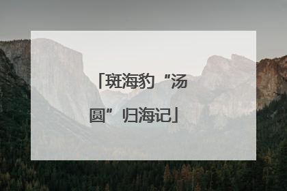 斑海豹“汤圆”归海记