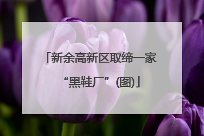 新余高新区取缔一家“黑鞋厂”(图)