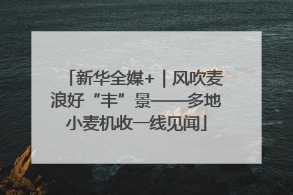 新华全媒+｜风吹麦浪好“丰”景——多地小麦机收一线见闻