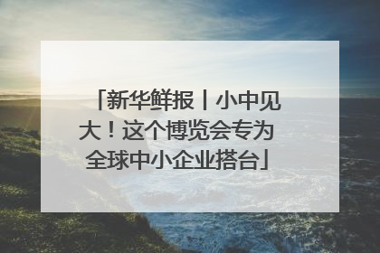 新华鲜报丨小中见大！这个博览会专为全球中小企业搭台