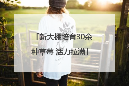新大棚培育30余种草莓 活力拉满