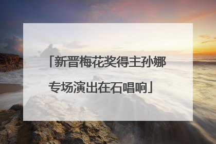 新晋梅花奖得主孙娜专场演出在石唱响