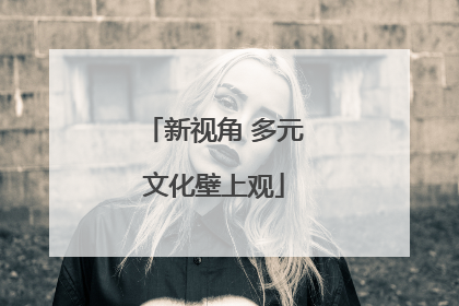 新视角 多元文化壁上观
