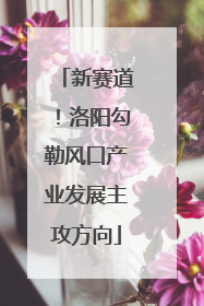 新赛道！洛阳勾勒风口产业发展主攻方向