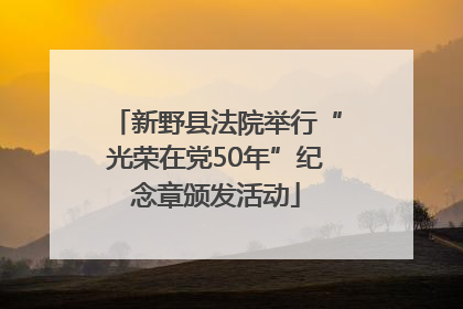 新野县法院举行“光荣在党50年”纪念章颁发活动