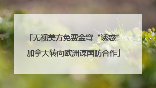 无视美方免费金穹“诱惑” 加拿大转向欧洲谋国防合作