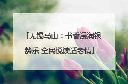 无锡马山：书香浸润银龄乐 全民悦读适老情