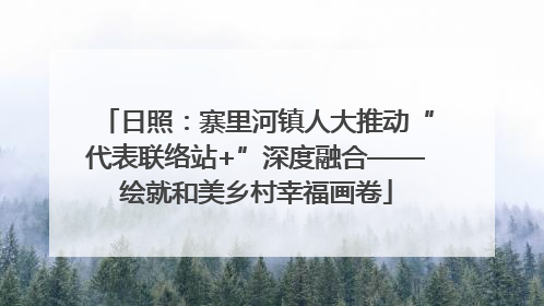 日照：寨里河镇人大推动“代表联络站+”深度融合——绘就和美乡村幸福画卷