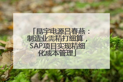 昆宇电源吕春燕：制造业需精打细算，SAP项目实现精细化成本管理